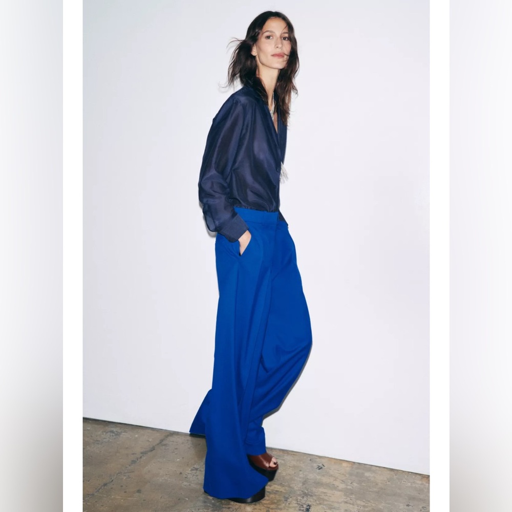 Vibrant Royal Blue Pants